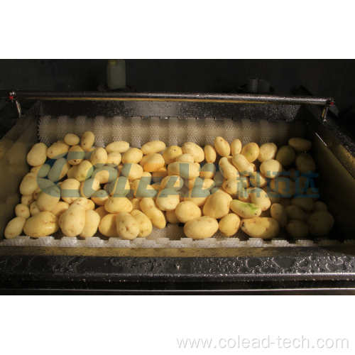 Taro peeling machine electric potato peeler
